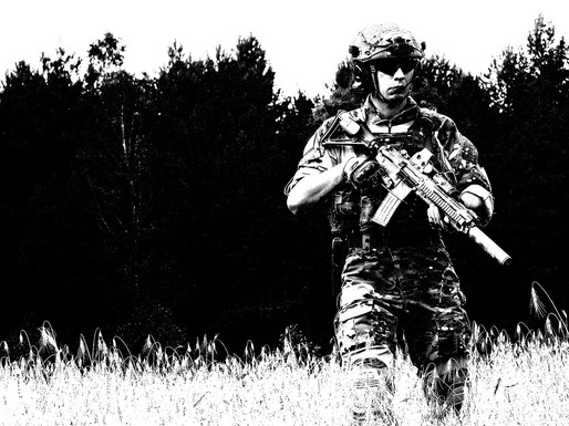 Polițiștii și cadrele militare, inclusiv rezerviștii, nu vor mai putea presta activități militare ori de securitate în privat, sub sancțiunea închisorii. Menținere în activitate până la 65 de ani, inclusiv pentru serviciile de informații