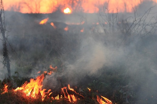 Incendiile de vegetație fac ravagii în Europa