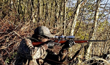 Urșii care pun în pericol viața persoanelor vor putea fi uciși imediat, fără alte metode prealabile