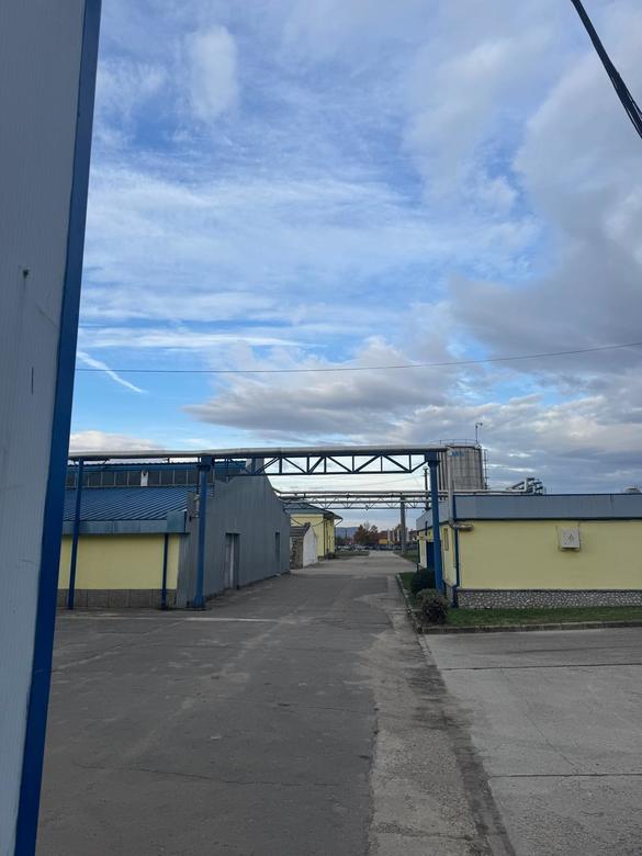 ULTIMA ORĂ VIDEO&FOTO Frații Micula, vizați de percheziții. Ar fi transferat ilicit active în valoare de 163 milioane lei către firme din sfera de control pentru a împiedica statul să recupereze ajutor de stat acordat ilegal