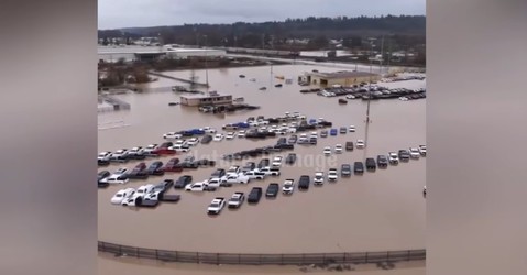 Statul american Washington, grav afectat de inundații VIDEO