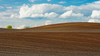 Străini limitați în România la achiziția de terenuri agricole - proiect depus în Parlament