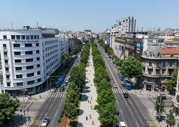 FOTO Ciucu schimbă total Bulevardul Magheru. Au început plantările de arbori pe ”tunelul auto”