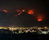 Piromanii au folosit pisici pentru a răspândi incendiile forestiere din Italia