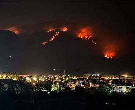 Piromanii au folosit pisici pentru a răspândi incendiile forestiere din Italia