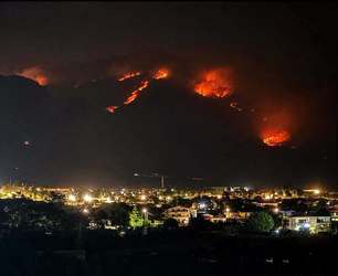 Piromanii au folosit pisici pentru a răspândi incendiile forestiere din Italia