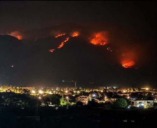 Piromanii au folosit pisici pentru a răspândi incendiile forestiere din Italia