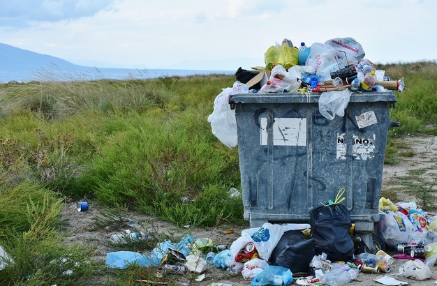 De ce miroase urât în București. Răspunsul ministrului: Depozitul de deșeuri de la Vidra și stația de epurare de la Glina sunt cele mai probabile surse