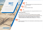 Calendarul fiscal al lunii iunie. Moment important pentru reprezentanțele înființate în România de străini