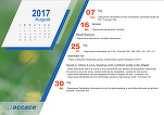 Calendarul fiscal al lunii august - firmele trebuie să tragă linie