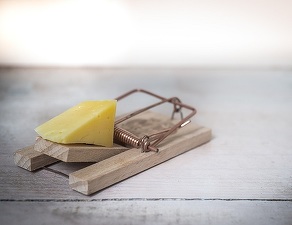 Schimbările fiscale pentru microfirme și PFA deschid o capcană periculoasă și tentantă pentru cei care acum sunt salariați