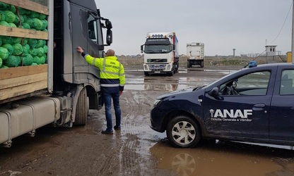 DECIZIE Guvern - Separarea Vămii de ANAF - Regionala Ploiești este preluată de București și de Craiova, iar portul Constanța trece tot la București. Rămân birourile vamale propuse pentru reorganizare