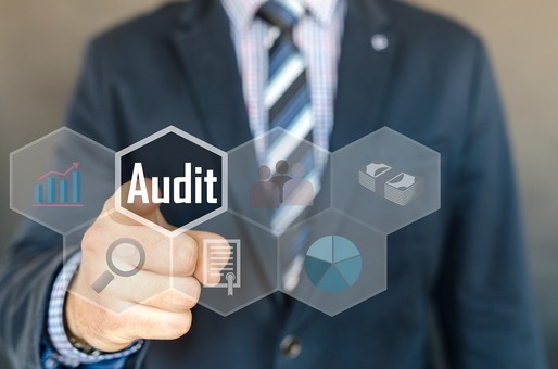 Auditori financiari - Calificările internaționale ar putea fi recunoscute și în mediul privat, la auditul intern