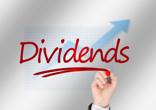 Grupul finanțiștilor marginalizați din PNL propune revenirea la impozit de 5% pe dividende 