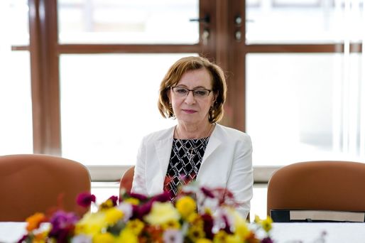 Taxarea inversă generalizată, arhaică. Facem din România un cobai și vedem noi ce iese - Mariana Vizoli, omul care a aliniat TVA în România
