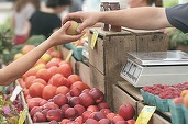Efectul taxării inverse la legume - fructe, anunțată de Profit.ro. Atac împotriva „fantomelor” comerciale