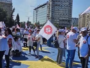 ULTIMA ORĂ Grevă mâine la ANAF, Vamă și Finanțe, din cauza legii salarizării. Un sindicat a anunțat grevă de solidaritate cu sindicatele din sănătate