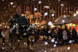 Târguri și expoziții în luna decembrie 2015