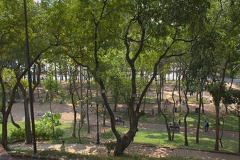 Oportunități 23 noiembrie - Primăria Sânnicolau Mare organizează licitație pentru modernizarea și reabilitarea infrastructurii urbane 