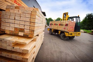 Oportunități 30 decembrie - Centrul de Recuperare și Reabilitare Neurosihiatrică Brâncovenești organizează licitație pentru furnizarea de produse din lemn 