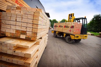 Oportunități 30 decembrie - Centrul de Recuperare și Reabilitare Neurosihiatrică Brâncovenești organizează licitație pentru furnizarea de produse din lemn 