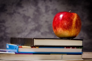 Oportunități 1 februarie - CJ Ialomița solicită oferte pentru furnizarea și distribuția de mere în anul școlar 2015-2016