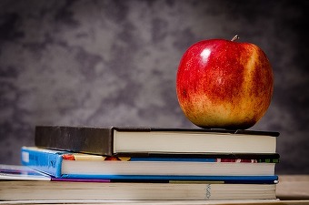 Oportunități 1 februarie - CJ Ialomița solicită oferte pentru furnizarea și distribuția de mere în anul școlar 2015-2016