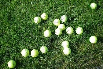 Oportunități 1 aprilie - Federația Română de Tenis solicită oferte pentru achiziționarea de mingi de tenis