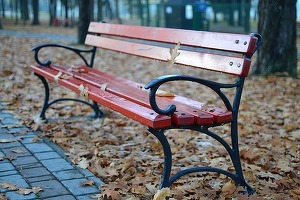 Oportunități 15 aprilie - Primăria Craiova solicită oferte pentru achiziționarea de bănci de agrement cu spătar și cotiere