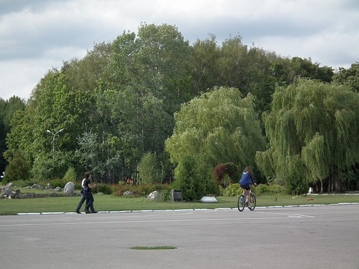 Oportunități 6 mai - Primăria Timișoara solicită oferte pentru modernizarea Parcului Scudier