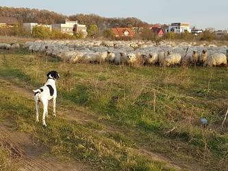 "Nu-i mai mare ca a mea, dar e a doua după mine"