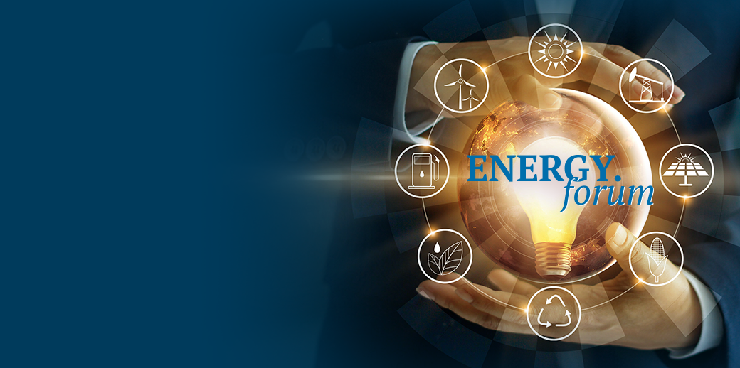 Videoconferința Profit Energy.forum - Energia post-coronavirus