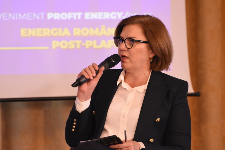 Eveniment Profit Energy.forum - Energia românească post-plafonare - Ediția a VIII-a