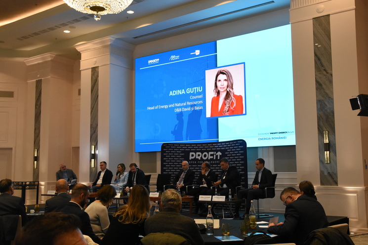 Eveniment Profit Energy.forum - Energia României - Cum găsim echilibrul între penurie și exces - Ediția a IX-a