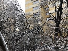 FOTO Bucureștenii, rugați să nu mai apeleze 112 pentru a raporta incidente fără victime. În prima parte a zilei au fost înregistrate 750 de solicitări în Capitală