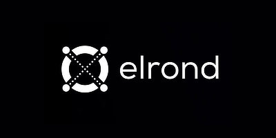 Atac de 113 milioane de dolari la Maiar Exchange, bursa de criptomonede dezvoltată în Sibiu. Cotația Elrond (EGLD) a scăzut aproape de minimul din ultimul an. Cât au reușit atacatorii să vândă