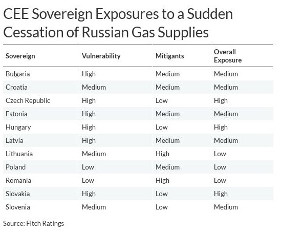 Fitch: Oprirea livrărilor de gaze din Rusia ar trimite o undă de șoc macroeconomic în ECE. România, printre țările cel mai puțin vulnerabile. Statele cel mai puternic lovite