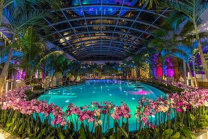 Complexul Therme din București se închide