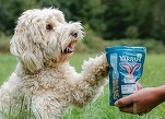 Tranzacție: Premium Petfood Brands achiziționează producătorul de hrană organică pentru animale Yarrah