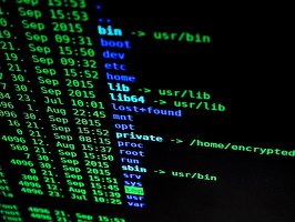 GALERIE FOTO Hackerii abuzează de reputația FAN Courier, DPD, DHL, Poșta Română, Balcan Express Curier pe fondul cererii record. Ținta: datele de card 