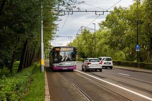 Bilete gratis pentru transportul în comun, în Cluj-Napoca. 20 genuflexiuni pentru o călătorie cu autobuzul