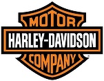 Acordul comercial India–SUA exclude concesii pentru Tesla, dar permite acces fără taxe pentru celebrele motociclete Harley-Davidson