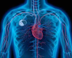 Un stimulator cardiac experimental poate converti energia bătăilor inimii pentru a reîncărca bateria