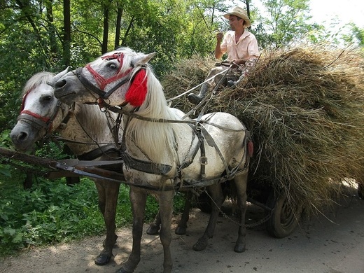 Banii puși la dispoziție de stat pentru proiecte de investiții în infrastructura agricolă au fost epuizați în 6 minute
