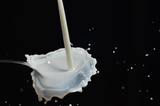 Companii americane și israeline de biotehnologie încearcă să producă lapte „autentic” fără vaci