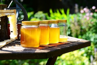 Piața românească de miere, inundată de falsuri. Cum recunoști mierea falsificată