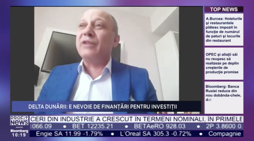 CONFIRMARE Frunza Elenei Udrea pentru promovarea României se întoarce