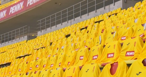 16.500 de tricouri oferite de Penny suporterilor României