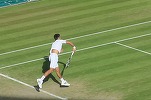 Wimbledon înlocuiește arbitrii cu un sistem automatizat