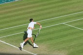 Wimbledon înlocuiește arbitrii cu un sistem automatizat